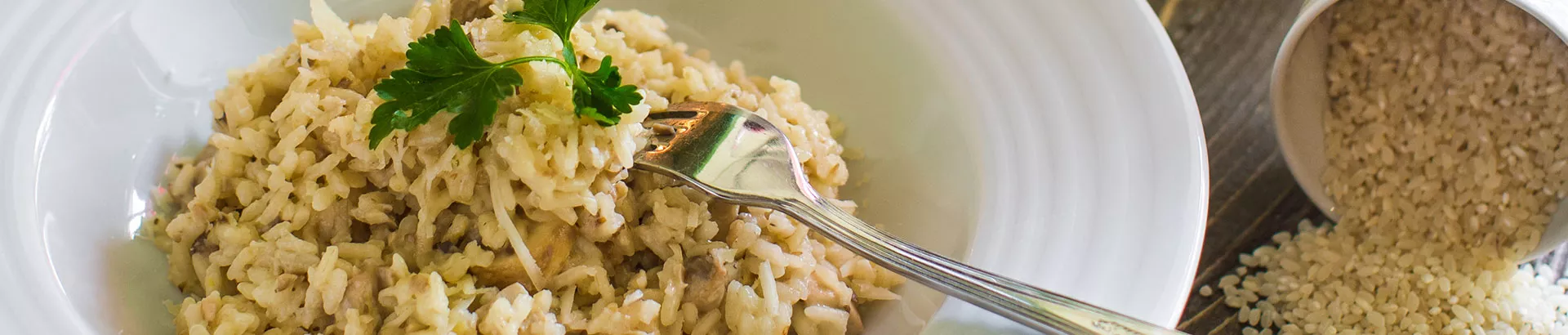 Dünya Mutfağından Lezzetler Sunan Restoranlar: İkon ve The One ile Seçkin Deneyim